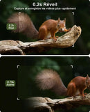 Caméra de Chasse Solaire HD 2K Surveillance