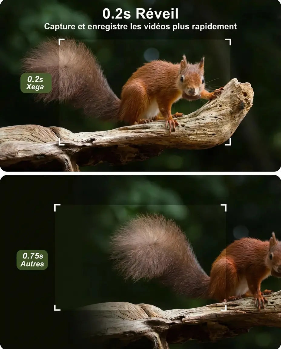 Caméra de Chasse Solaire HD 2K Surveillance