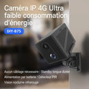 Mini caméra de surveillance 4G avec batterie