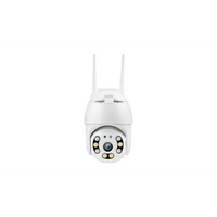 Caméra Extérieure Sans Fil avec Détection de Mouvement