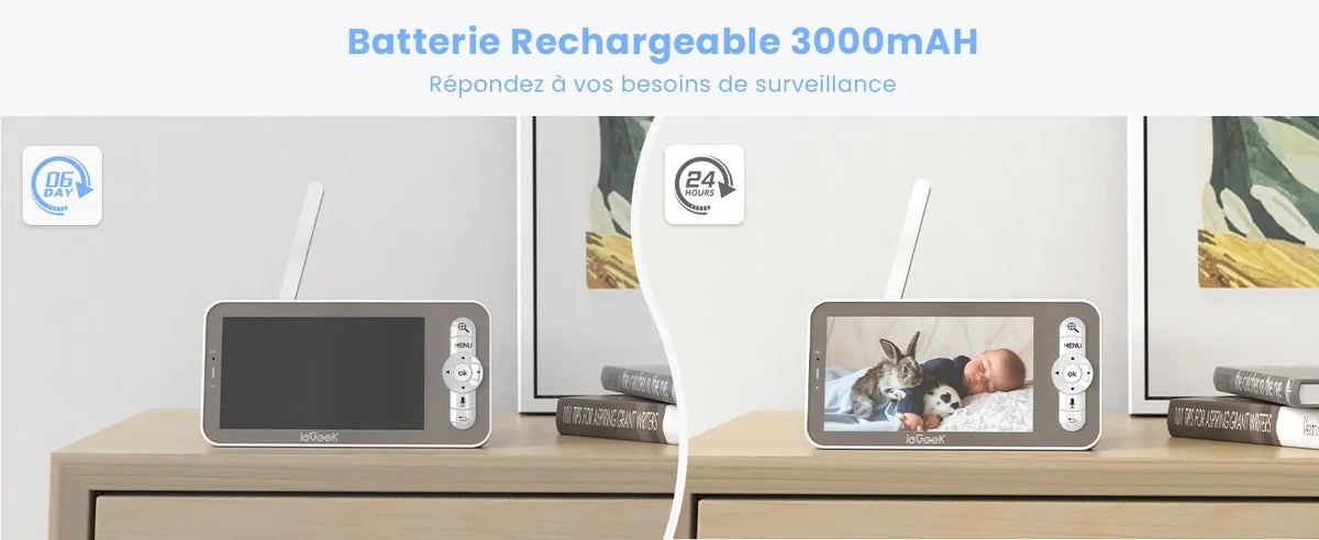 Batterie rechargeable 3000 mAh